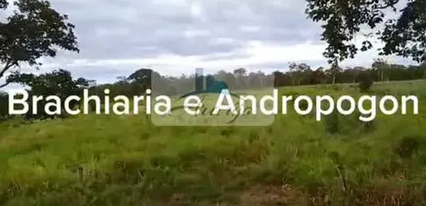 Fazenda / Sítio / Chácara com 1 Quarto à venda, 36m² no , Paranã