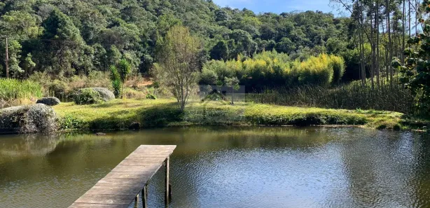 Fazenda / Sítio / Chácara com 3 Quartos à venda, 240000m² no Centro, Bom Jesus dos Perdões