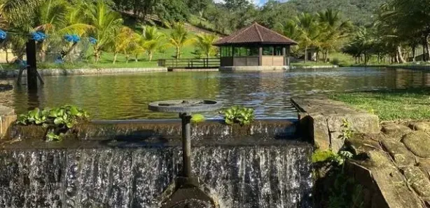 Fazenda / Sítio / Chácara com 4 Quartos à venda, 30000m² no Alpes Suiços, Gravatá