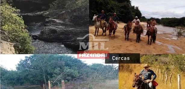 Fazenda / Sítio / Chácara à venda, 500m² no , Paranã