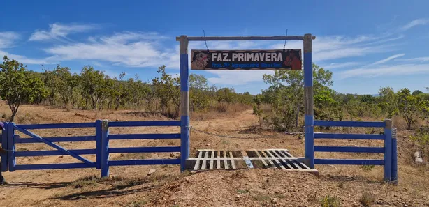 Fazenda / Sítio / Chácara à venda, 10933542m² no , Paranã