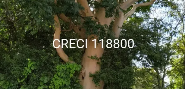Fazenda / Sítio / Chácara com 4 Quartos à venda, 84700m² no Centro, Capivari