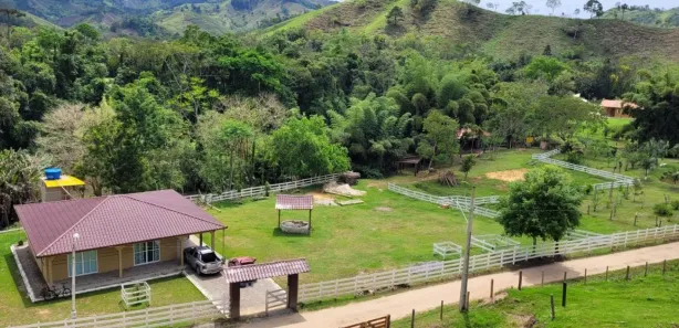 Fazenda / Sítio / Chácara com 3 Quartos à venda, 150m² no Ribeira, Rio Branco do Sul