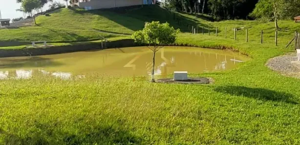 Fazenda / Sítio / Chácara com 3 Quartos à venda, 18000m² no , Antonina
