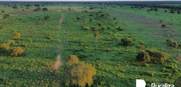 Fazenda / Sítio / Chácara à venda, 902m² no , Pium