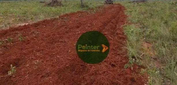 Fazenda / Sítio / Chácara à venda, 17151750m² no , Ponte Alta do Tocantins