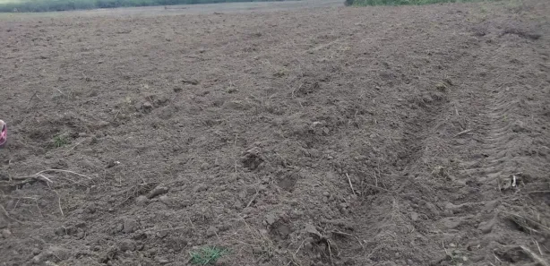 Terreno / Lote / Condomínio à venda, 220000000m² no Canaã, Arapiraca