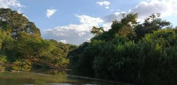Fazenda / Sítio / Chácara à venda, 26000m² no , Padre Bernardo