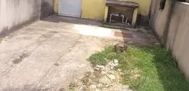 Casa com 2 Quartos para alugar, 57m² no Campo Alegre, Nova Iguaçu