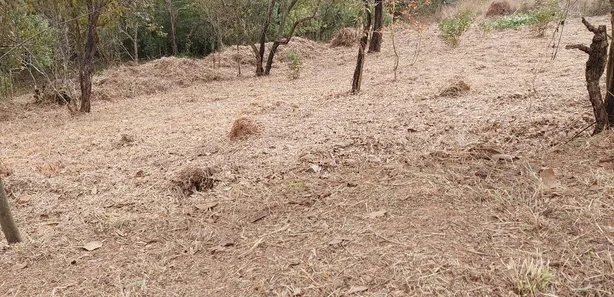 Terreno / Lote / Condomínio à venda, 1000m² no Roseira, Mairiporã