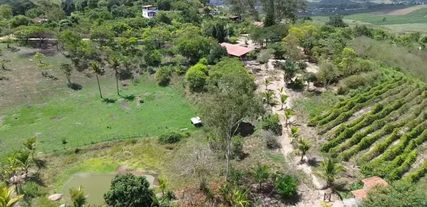 Fazenda / Sítio / Chácara com 3 Quartos à venda, 30000m² no , Sairé
