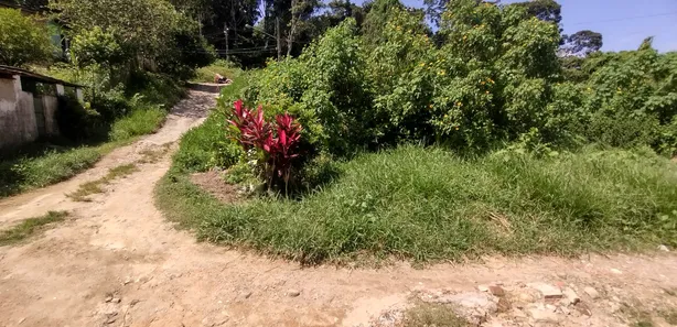 Terreno / Lote / Condomínio à venda, 847m² no Timbí, Camaragibe