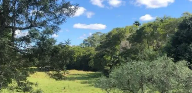 Fazenda / Sítio / Chácara com 2 Quartos à venda, 2000m² no Figueiras, Alumínio