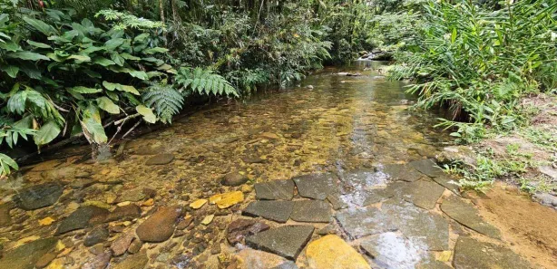 Fazenda / Sítio / Chácara à venda, 463710m² no Ponta da Pedra, Antonina