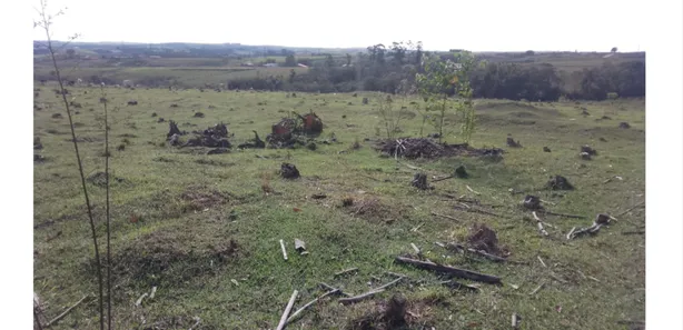 Fazenda / Sítio / Chácara com 1 Quarto à venda, 47m² no Vila Cesari Purgato, Mombuca