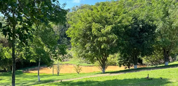 Terreno / Lote / Condomínio à venda, 1000m² no , Alumínio