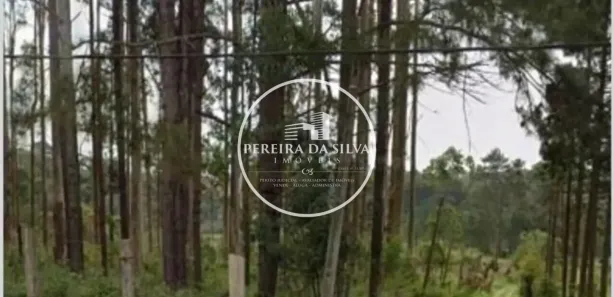 Terreno / Lote / Condomínio à venda, 54330m² no Centro, Embu-Guaçu