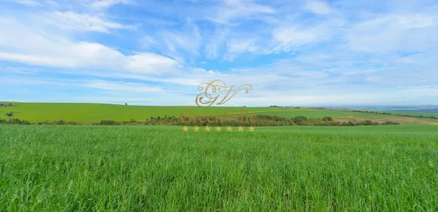 Fazenda / Sítio / Chácara com 4 Quartos à venda, 3146000m² no Colônia Dona Luíza, Ponta Grossa