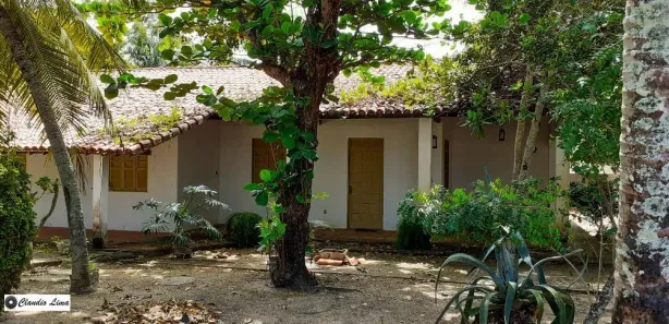 Fazenda / Sítio / Chácara com 4 Quartos à venda, 180m² no Barra do Jacuípe, Camaçari