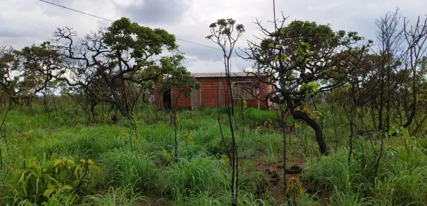Fazenda / Sítio / Chácara com 1 Quarto à venda, 21000m² no Área Rural do Gama, Brasília