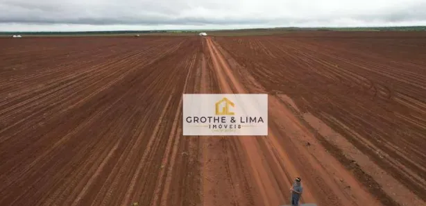 Fazenda / Sítio / Chácara com 10 Quartos à venda, 900m² no , Pedro Afonso