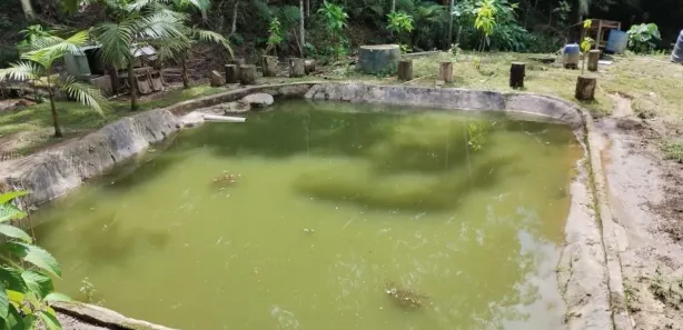 Fazenda / Sítio / Chácara com 4 Quartos à venda, 120m² no Represa, Ribeirão Pires