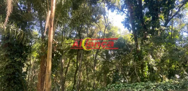 Terreno / Lote / Condomínio à venda, 1238m² no Área Rural de Mairiporã, Mairiporã