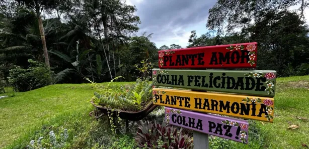 Fazenda / Sítio / Chácara com 2 Quartos à venda, 7000m² no Centro, Águas Mornas