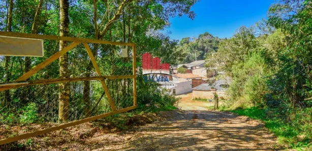 Fazenda / Sítio / Chácara com 2 Quartos à venda, 100m² no Loteamento Chico Mendes, Almirante Tamandaré