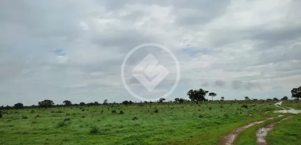 Fazenda / Sítio / Chácara à venda, 280m² no Rua Rio Formoso, Formoso do Araguaia