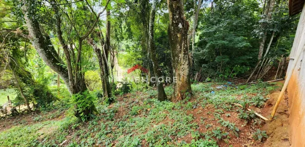 Loja / Salão / Ponto Comercial à venda, 70m² no , Campos do Jordão