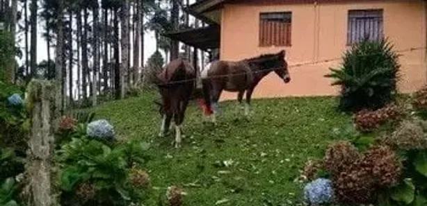 Fazenda / Sítio / Chácara com 6 Quartos à venda, 144000m² no Jardim Pinheiros, Quatro Barras