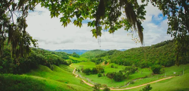Fazenda / Sítio / Chácara à venda, 38000m² no , Águas Mornas