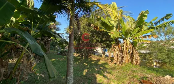 Fazenda / Sítio / Chácara com 4 Quartos para alugar, 3200m² no Jardim Chácara Méa, Suzano