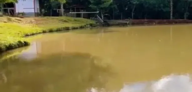 Fazenda / Sítio / Chácara à venda, 15300m² no , Catanduvas