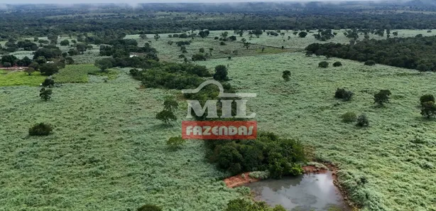 Fazenda / Sítio / Chácara com 2 Quartos à venda, 500m² no Setor Central, Gurupi