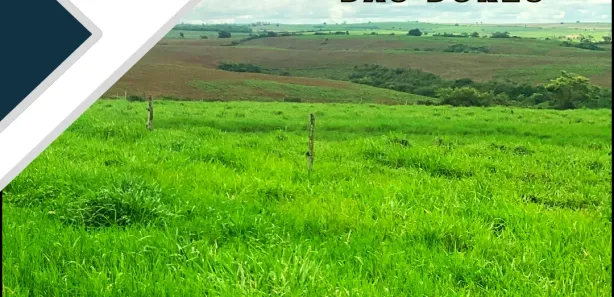 Fazenda / Sítio / Chácara à venda, 1360000m² no Centro, Nossa Senhora das Dores
