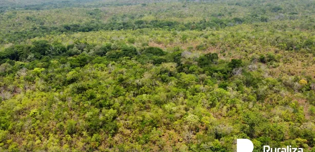 Fazenda / Sítio / Chácara à venda, 96m² no , Pedro Afonso