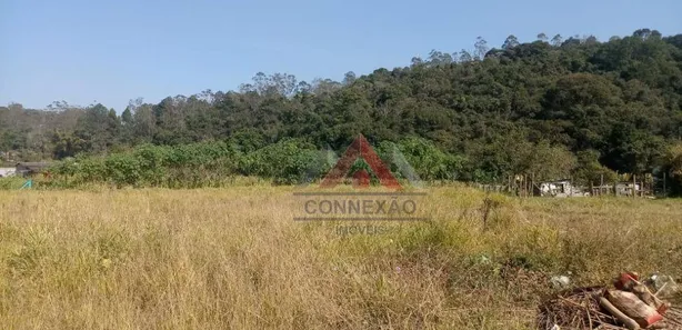 Terreno / Lote / Condomínio à venda, 8000m² no Vila São Pedro, Suzano