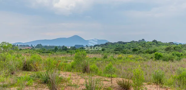Terreno / Lote / Condomínio à venda, 5038m² no Loteamento Bosque Merhy, Quatro Barras