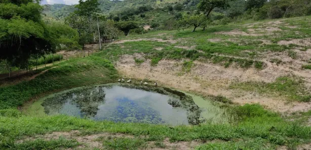 Fazenda / Sítio / Chácara com 3 Quartos à venda, 100000m² no Área Rural de Vitória do Santo Antão, Vitória de Santo Antão