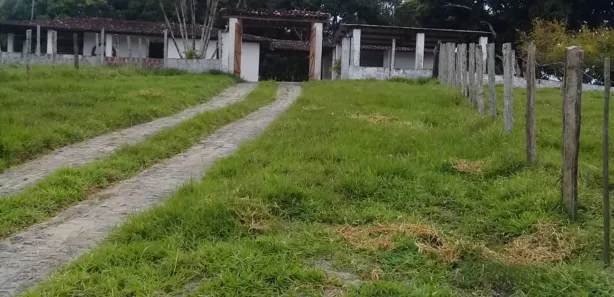 Fazenda / Sítio / Chácara à venda, 950000m² no , Joaquim Gomes