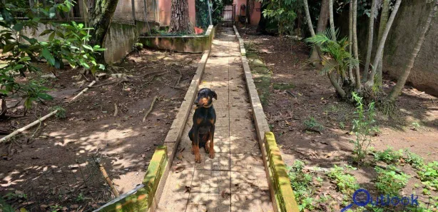 Terreno / Lote / Condomínio à venda, 600m² no Centro, Diadema