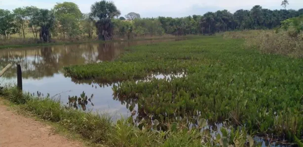 Fazenda / Sítio / Chácara à venda, 4646400m² no Centro, Caldas Novas