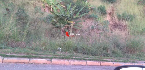 Terreno / Lote / Condomínio à venda, 1m² no São Damião, Vespasiano