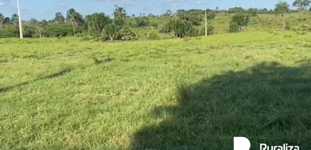 Fazenda / Sítio / Chácara à venda, 359m² no , Santa Maria do Tocantins