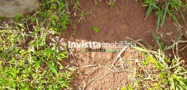 Fazenda / Sítio / Chácara à venda, 131m² no Jardim Paulista, Paraíso do Tocantins