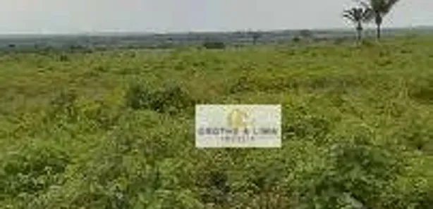 Fazenda / Sítio / Chácara com 8 Quartos à venda, 600m² no São José, Formoso do Araguaia