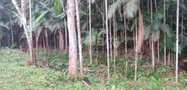 Terreno / Lote / Condomínio à venda, 18000m² no Carmelo, São João Batista