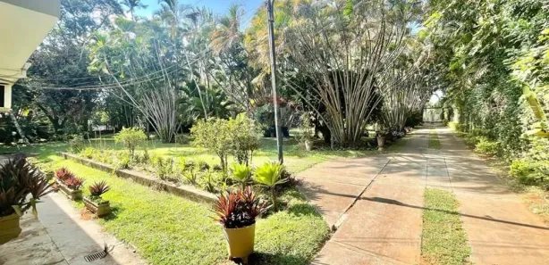 Fazenda / Sítio / Chácara com 8 Quartos à venda, 602m² no Chácara Velosa, Araraquara